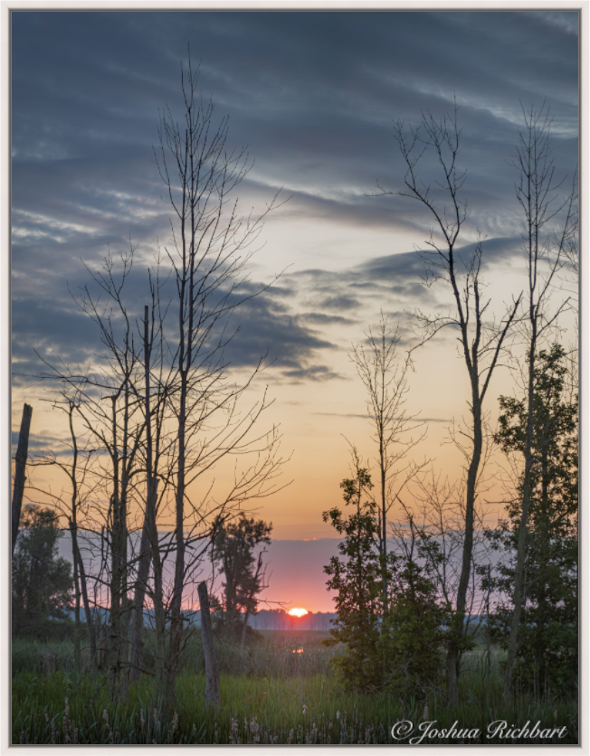 Sunrise Marsh