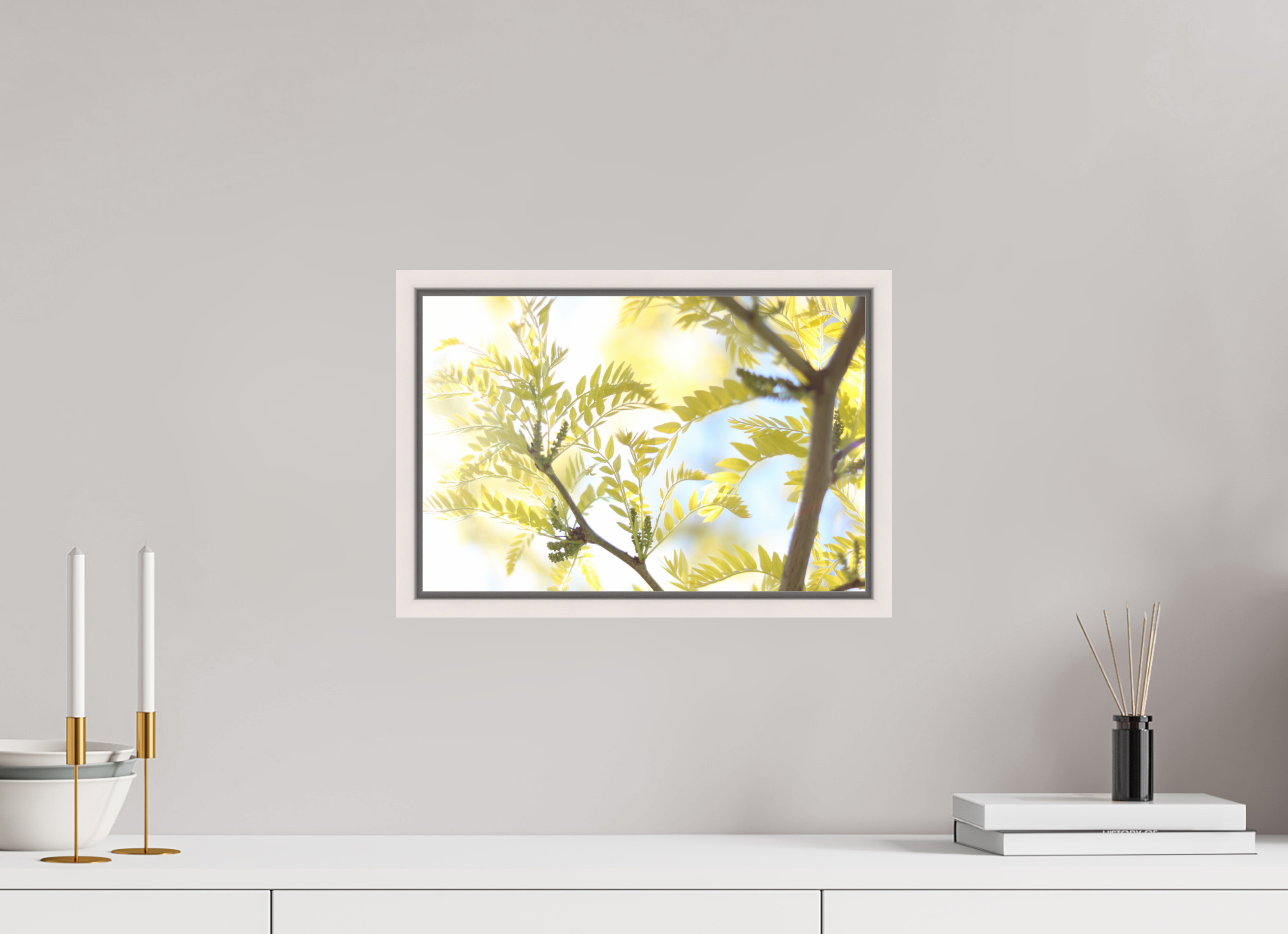 Sunlit Branches with Emerging Leaves