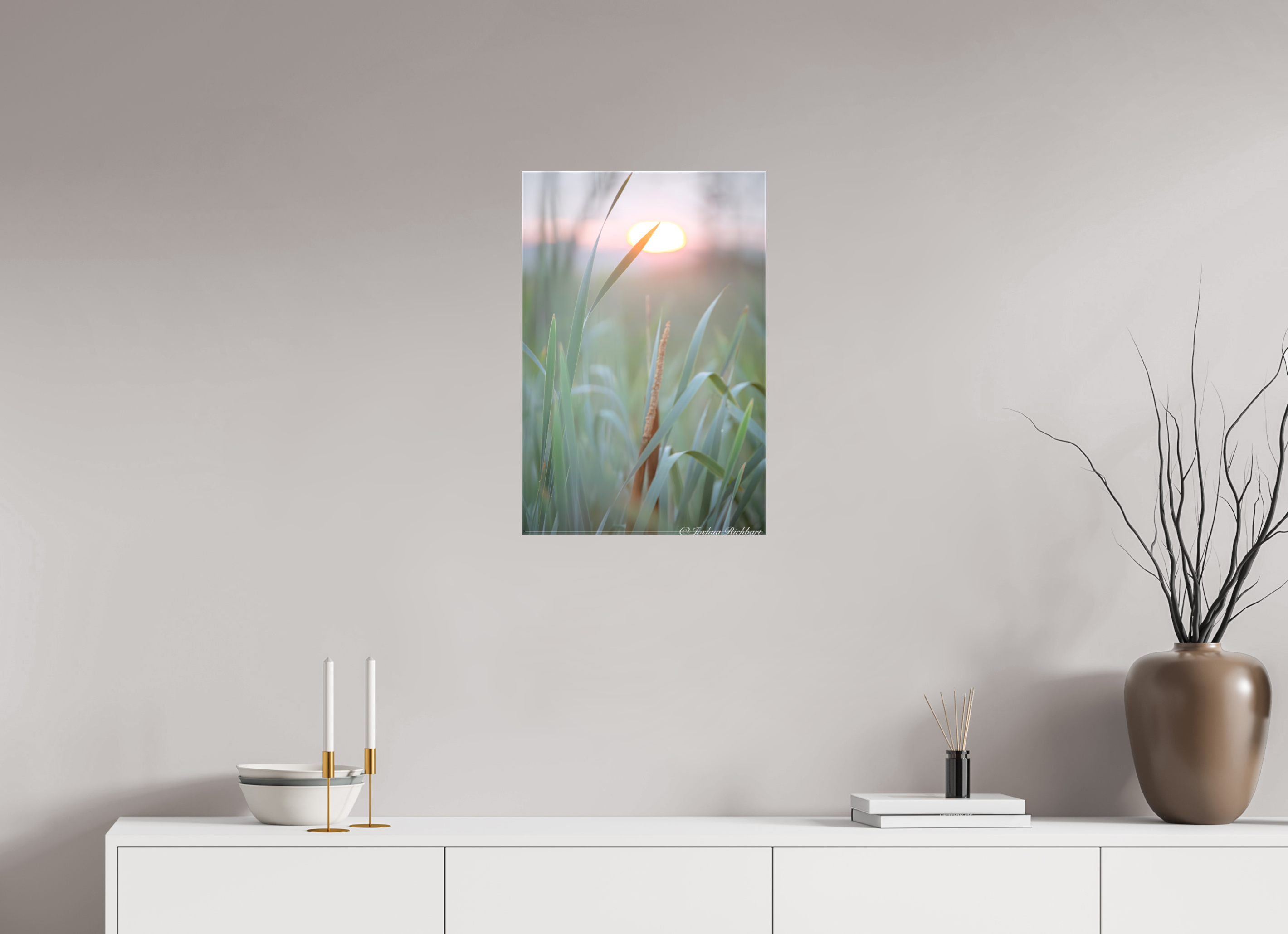 Morning Light in the Meadow