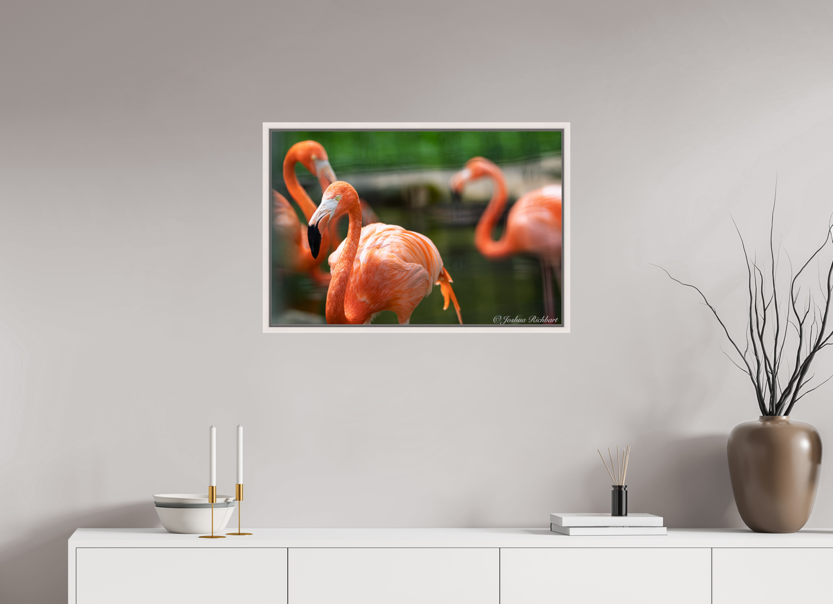 Flamingo Gathering