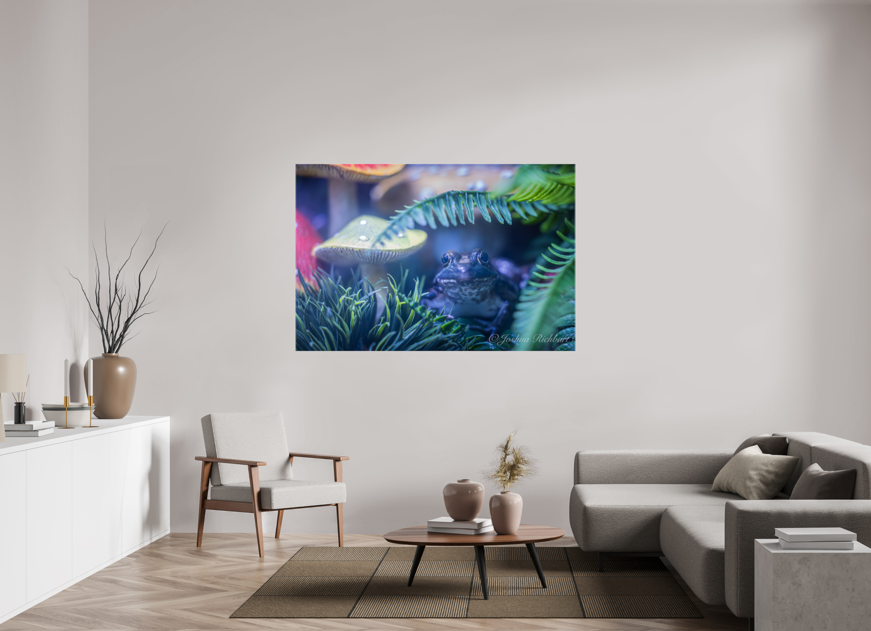 Hidden Frog in the Ferns