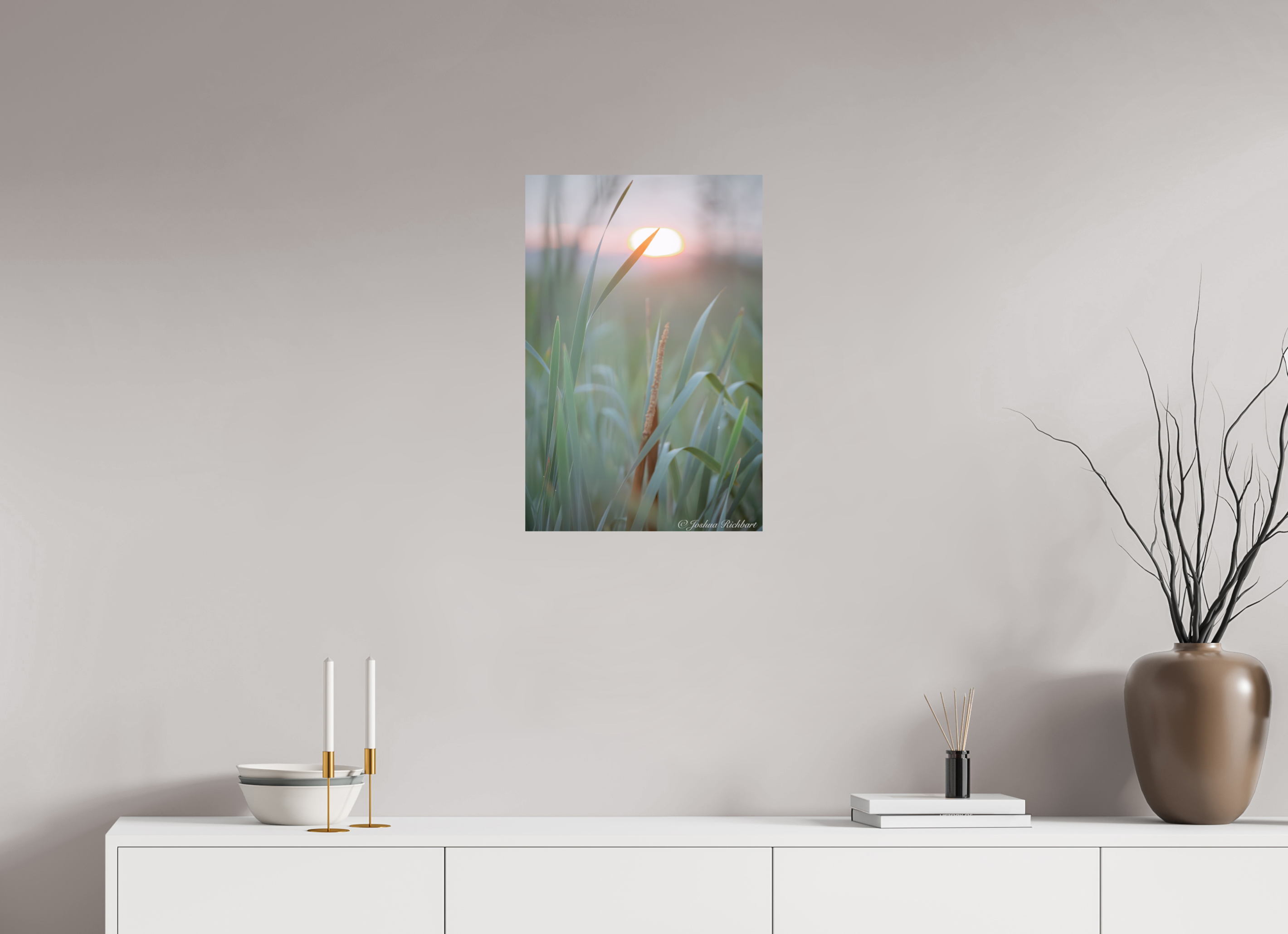 Morning Light in the Meadow