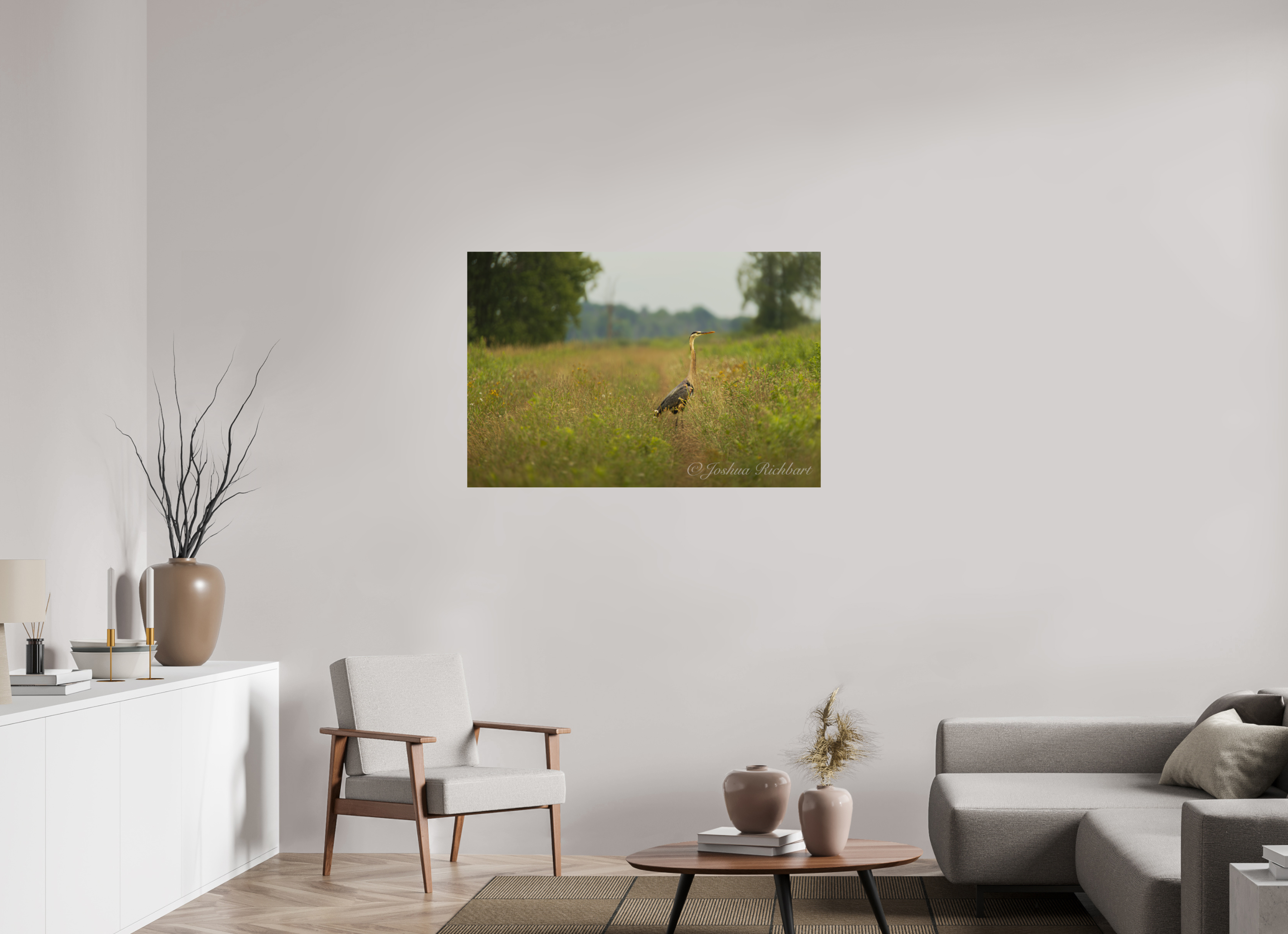 Serene Heron in the Meadow